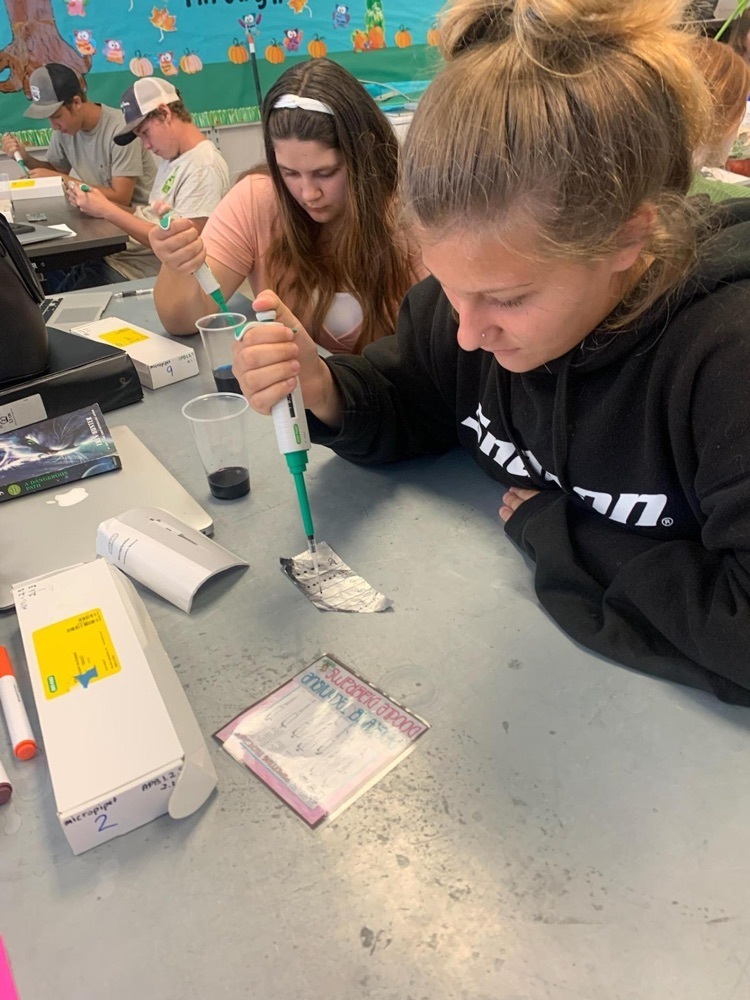 students with micropipettes