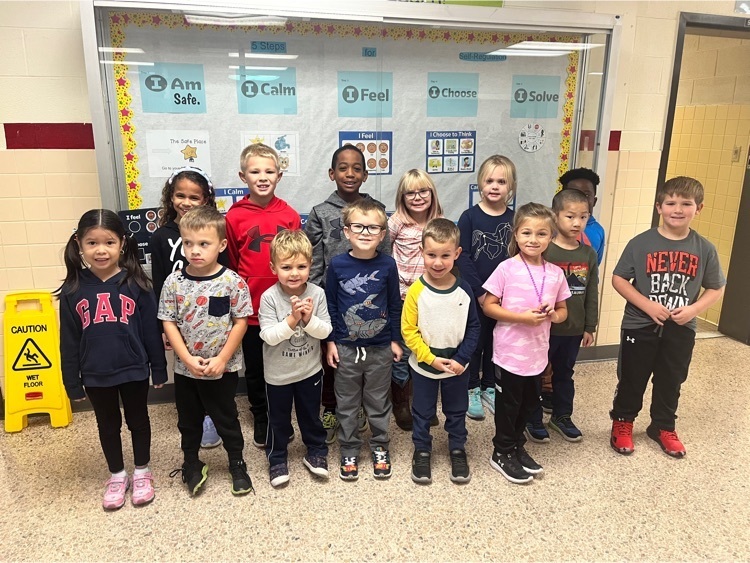 DES dolphins of the week