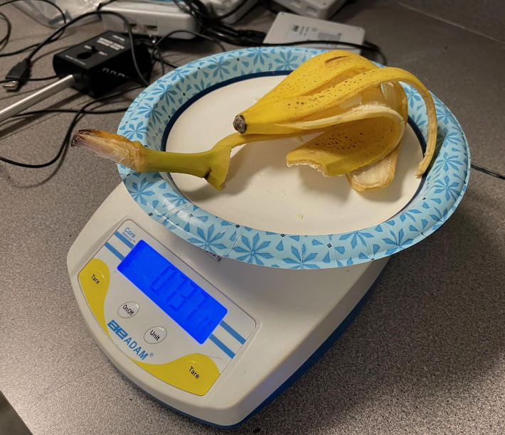 banana peel being measured 
