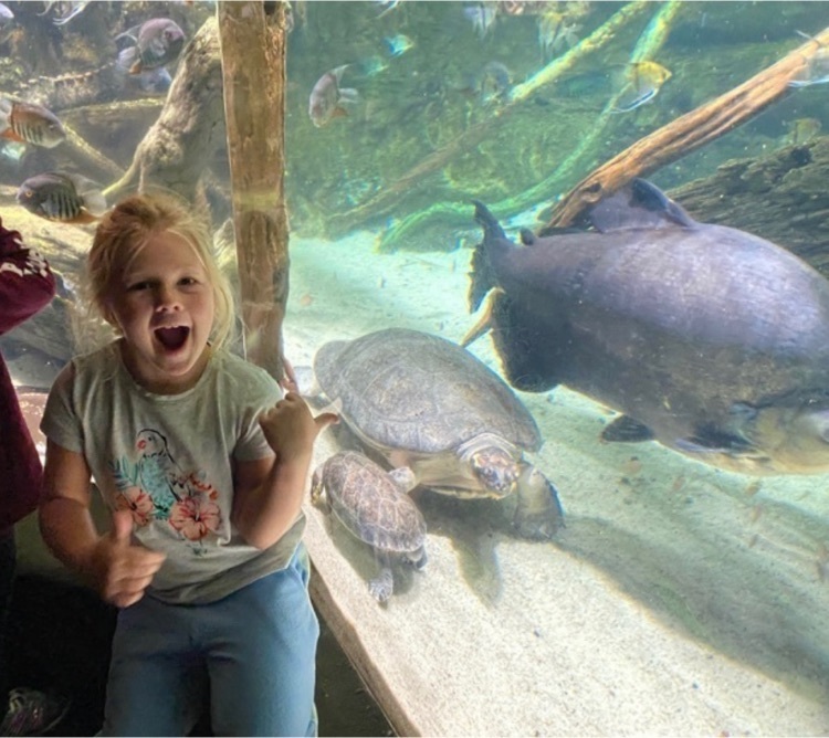 child at aquarium