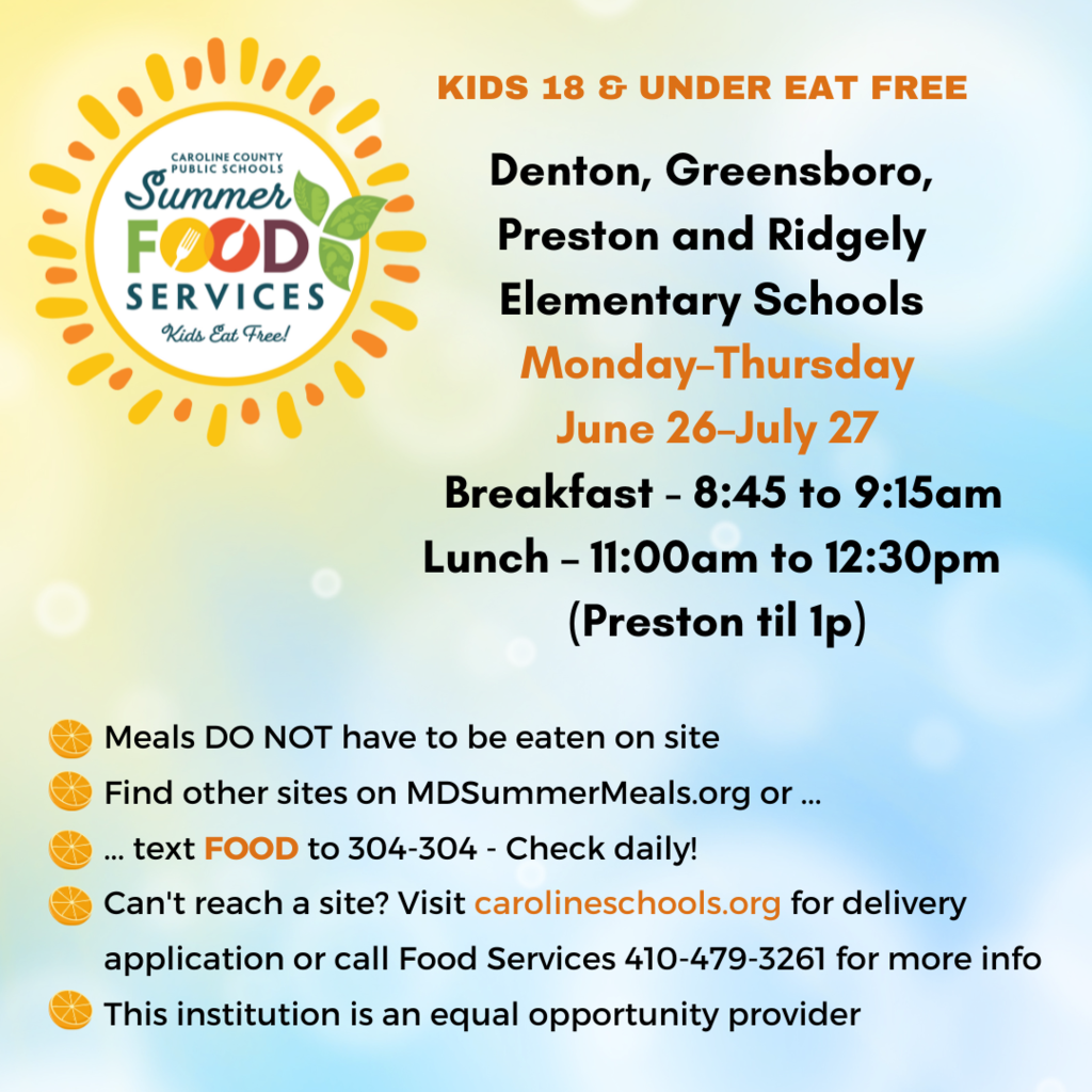 Live Feed Federalsburg Elementary School